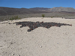 Saline Valley